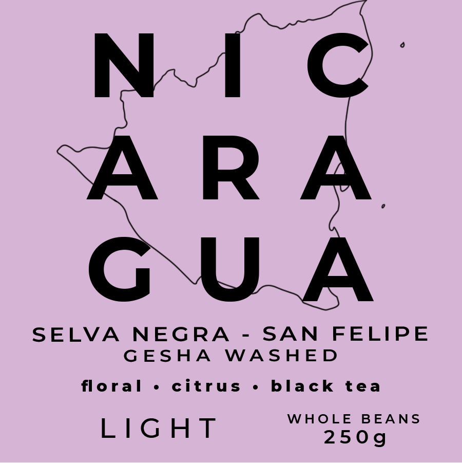NICARAGUA SELVA NEGRA GESHA Whole Roasted Beans - 250g